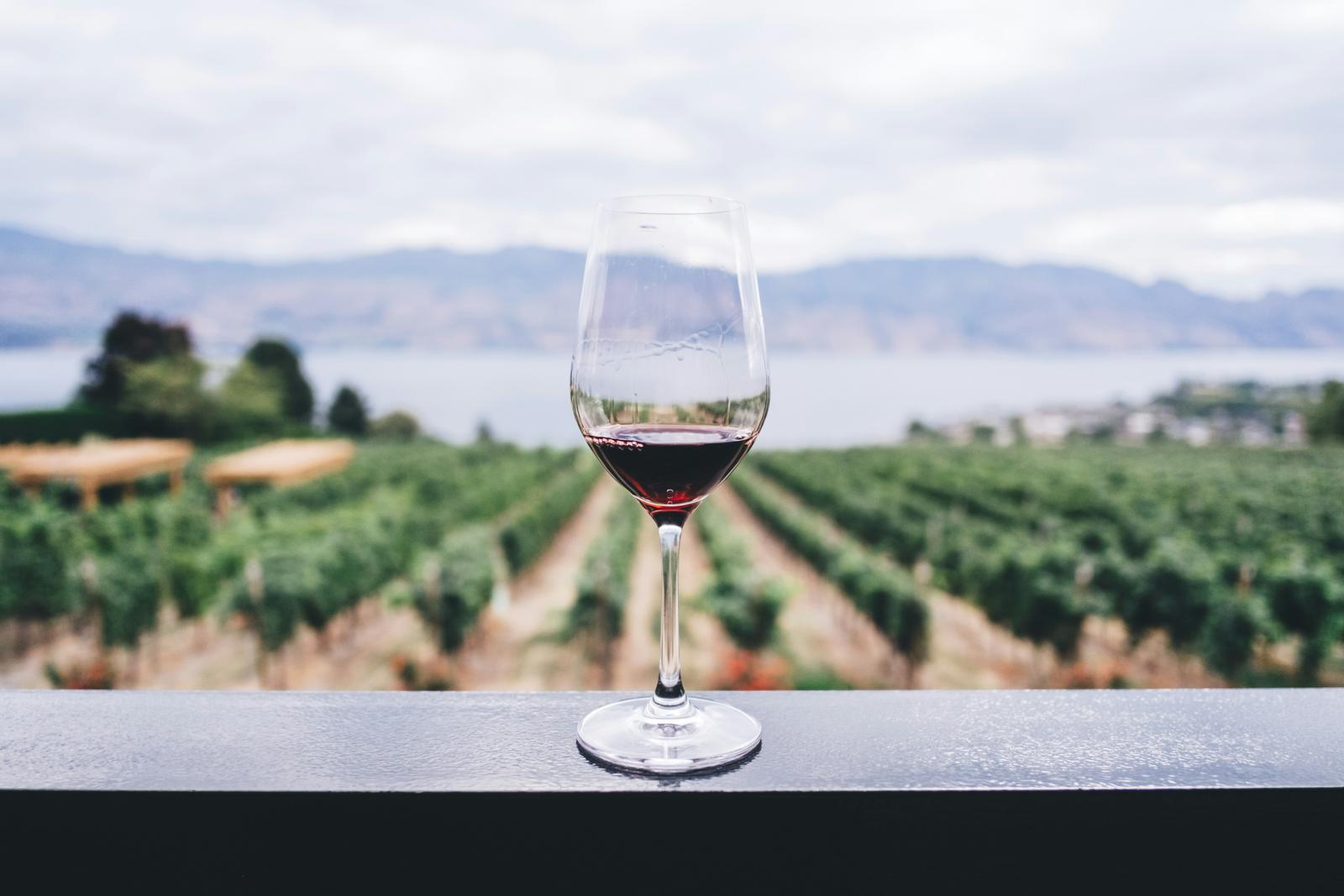 Cape Winelands and vineyards