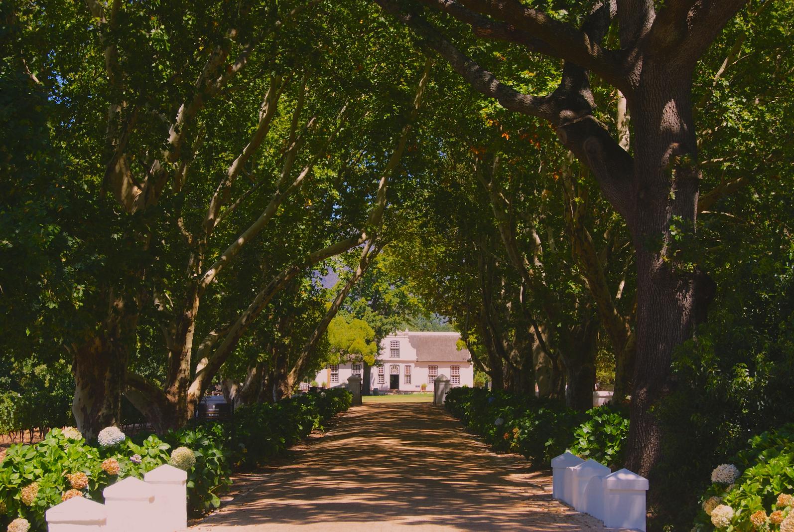 Franschhoek Wine Tram personalized tastings