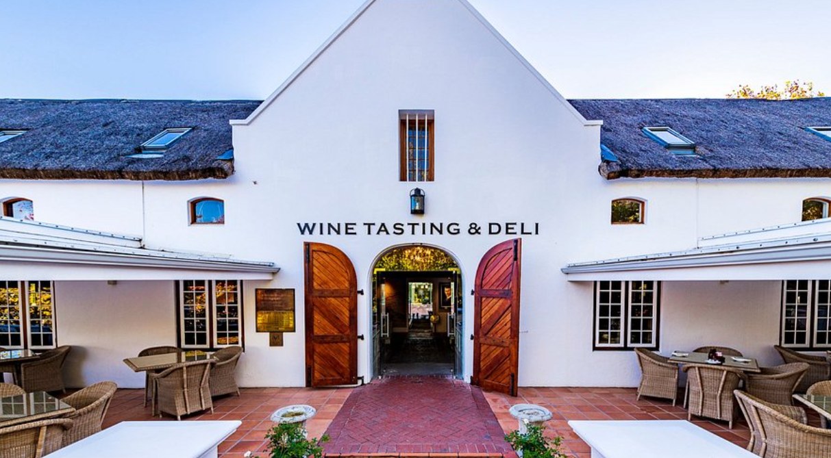 Cape Winelands vineyards and mountains